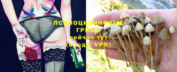 скорость Белокуриха